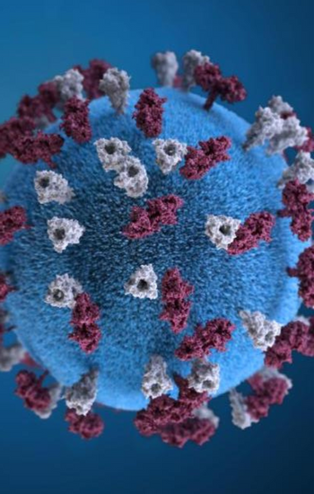 24-30 OCAK DÜNYA CÜZZAM HAFTASI